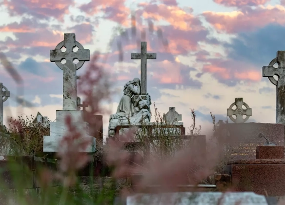 Les églises de Mandelieu-La-Napoule